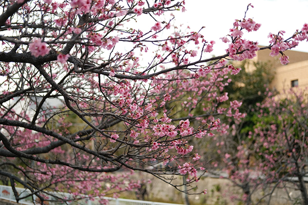 个人简历开头怎么写