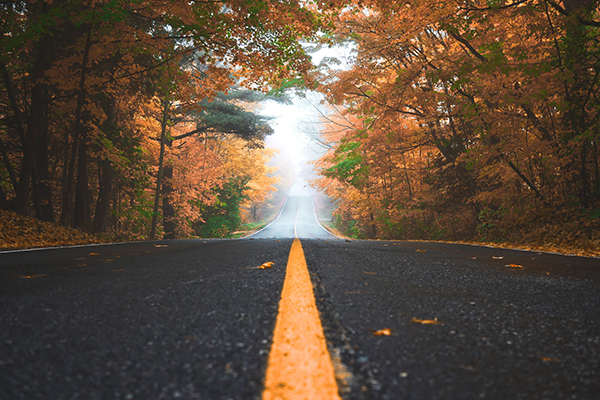 鹤中天  柳永